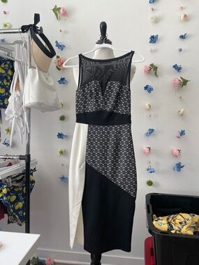ASOS Black and White Mesh Pencil Dress